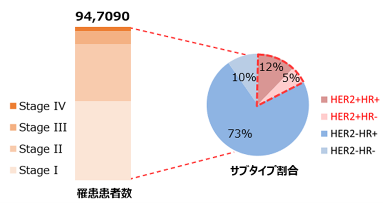 HER2 陽性乳がんはどのように治療されますか?